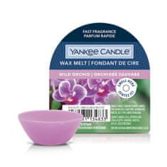 Yankee Candle Vonný vosk pre aromalampy Wild Orchid 22g