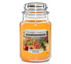 Yankee Candle Klasická Vonná sviečka v skle Exotic Fruits 538 g