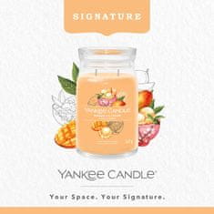 Yankee Candle Vonná sviečka Signature in glass large Mango Ice Cream 567g