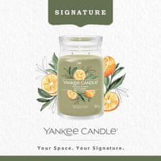 Yankee Candle Vonná sviečka Signature in glass large Sage & Citrus 567g