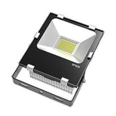 NBB NBB FLS-100W-F 85-305V 5000K MW FLOOD LED IP65 253210020