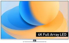 PANASONIC TV-55W93AE6