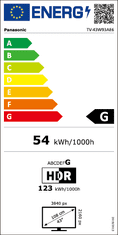 PANASONIC TV-43W93AE6