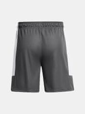 Under Armour Pánske kraťasy UA Baseline Short S