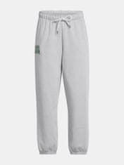 Under Armour Dámske športové nohavice UA Icon HWT Terry OS Pant XS