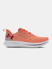 Under Armour Dámske topánky UA W Velociti 4 36,5