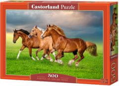 Castorland Puzzle Kone v jarnom zhone 500 dielikov