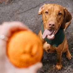 EXPLORER DOG AirBall Oranžový 8 cm