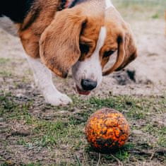 EXPLORER DOG AirBall Oranžový 8 cm