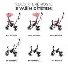 Kinderkraft Trojkolka Aston Rose pink