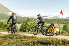 Thule Detský vozík Chariot Sport1 SpeYellow