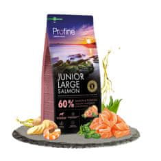 Profine Dog Dry Junior Large Salmon 12 kg