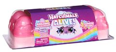 Spin Master Hatchimals líhnoucí se zvířátka ve vodě karton