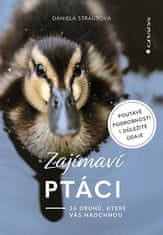 Daniela Straußová: Zajímaví ptáci - 36 druhů, které vás ohromí