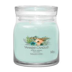 Yankee Candle Sviečka v sklenenej dóze , Aloe a agáve, 368 g