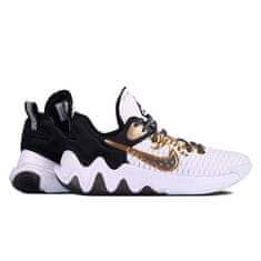 Nike Obuv basketball 45 EU CZ4099100