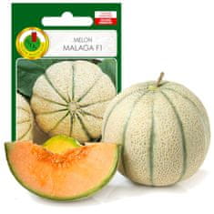 BOBIMARKET melon malaga f1 skorá chutná semeno bez gmo 1g