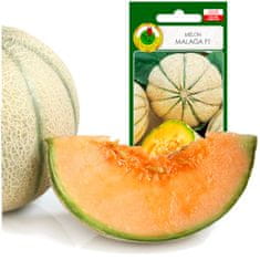 BOBIMARKET melon malaga f1 skorá chutná semeno bez gmo 1g