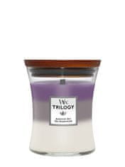 Woodwick WoodWick vonná sviečka s dreveným knôtom Trilogy sviečka stredná Amethyst Sky 275 g