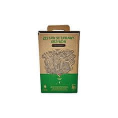 PLANTO Hliva ustricová 6l (Pleurotus ostreatus) MUSHROOMS GROW KIT PO-6L-HU