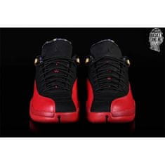 Nike Obuv 44 EU Air Jordan 12 Retro Low Se Super Bowl