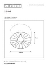 LUCIDE Stropné svietidlo ZIDO, priemer 40cm