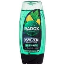 Radox Radox - Refreshment Menthol And Citrus 3-in-1 Shower Gel - Sprchový gel 225ml 