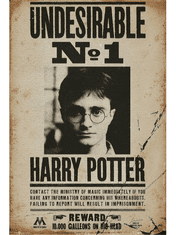 Plagát Harry Potter - Undesirable No 1