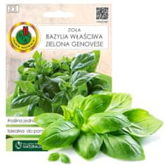 BOBIMARKET bazalka pravá zelená genovese semená bez gmo