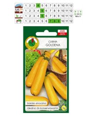 BOBIMARKET cuketa goldena na konzervovanie semien bez gmo