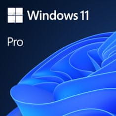 Microsoft Microsoft Windows 11 Pro CZ (OEM)