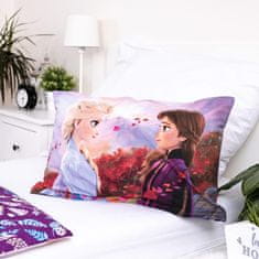 Jerry Fabrics Disney obliečky do postieľky Frozen 2 Wind baby 100x135, 40x60 cm