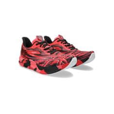 Asics Obuv červená 43.5 EU Noosa Tri 15