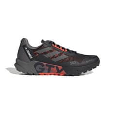 Adidas Obuv beh 41 1/3 EU Terrex Agravic Flow 2 Gtx