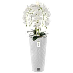 botle Umelá biela orchidea kytica kvety listy kamienky vysoký kvetináč White H 110 cm