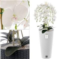 botle Umelá biela orchidea kytica kvety listy kamienky vysoký kvetináč White H 110 cm