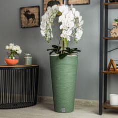 botle Umelá biela orchidea kytica kvety listy kamienky vysoký črepník Dark Green H 110 cm