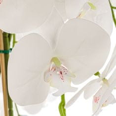 botle Umelá biela orchidea kytica kvety listy kamienky vysoký kvetináč White H 110 cm