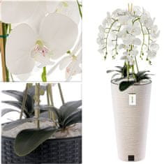 botle Umelá biela orchidea kytica kvety listy kamienky vysoký kvetináč White H 110 cm