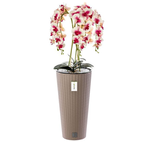 botle Umelá orchidea, krémová a ružová, kytica kvetov, vysoký črepník Mocca H 110 cm