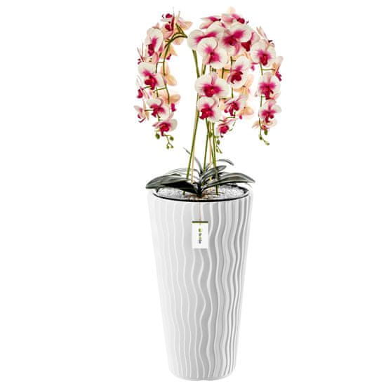 botle Umelá orchidea, krémová a ružová, kytica kvetov, vysoký črepník, Biela, V 115 cm