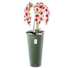 botle Umelá orchidea krémová a ružové kvety kytica vysoký kvetináč Dark Green H 110 cm