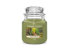 Yankee Candle Aromatická sviečka Classic stredná Autumn Nature Walk 411 g