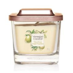 Yankee Candle Aromatická sviečka malá hranatá Citrus Grove 96 g