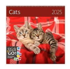 Kalendár nástenný 2025 - Cats