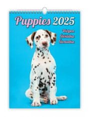 Kalendár nástenný 2025 - Puppies / Welpen / Šteniatka / Šteniatka