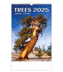 Kalendár nástenný 2025 - Trees / Bäume / Stromy