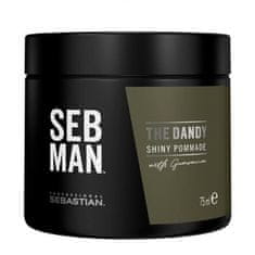 Sebastian Pro. Pomáda na vlasy SEB MAN The Dandy (Shiny Pommade) 75 ml