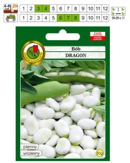 BOBIMARKET bôb skorý dragon plenny semená bez gmo