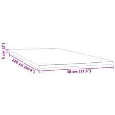 Petromila vidaXL Poťah na matrac 80x220x5 cm